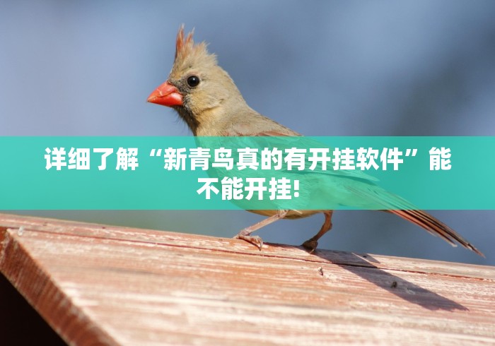 分分钟学会“天天乐清十三水开挂透视软件”原来有透视挂!