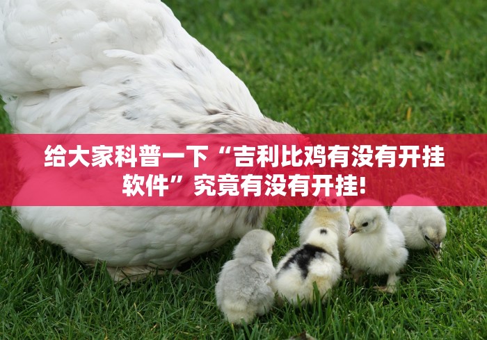 给大家科普一下“吉利比鸡有没有开挂软件”究竟有没有开挂!