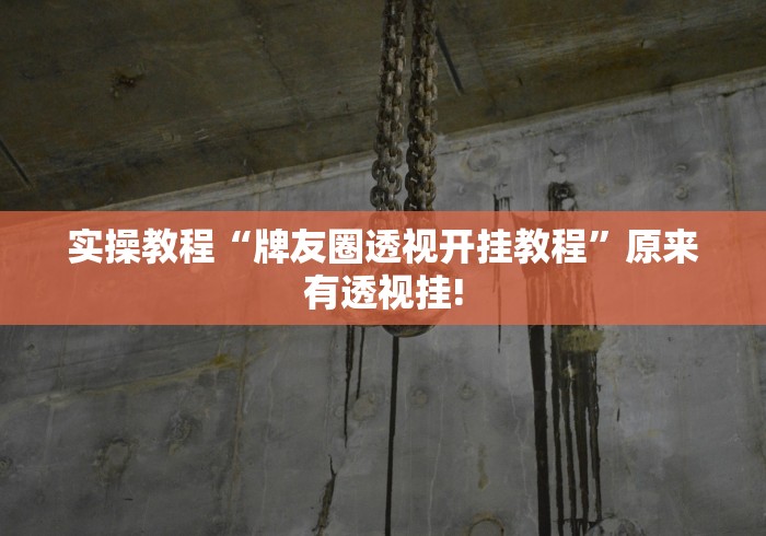 实操教程“牌友圈透视开挂教程”原来有透视挂!