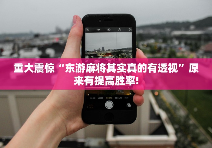 重大震惊“东游麻将其实真的有透视”原来有提高胜率!