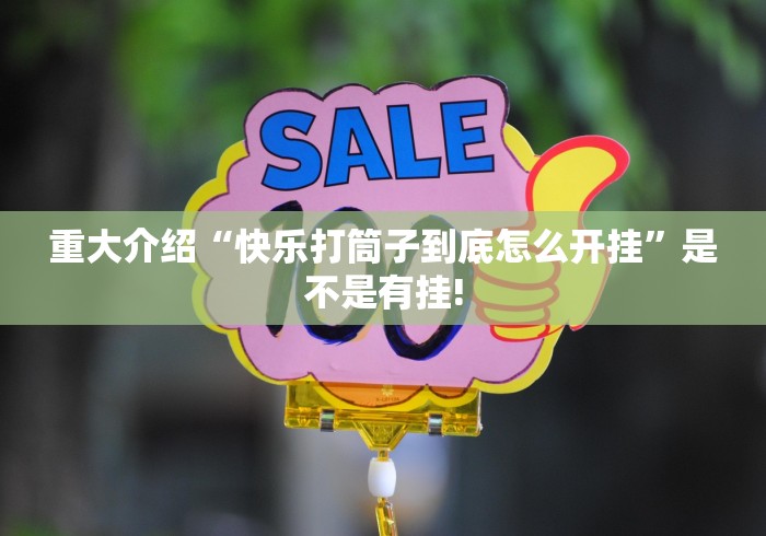 重大介绍“快乐打筒子到底怎么开挂”是不是有挂!