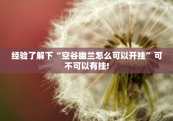 经验了解下“空谷幽兰怎么可以开挂”可不可以有挂!