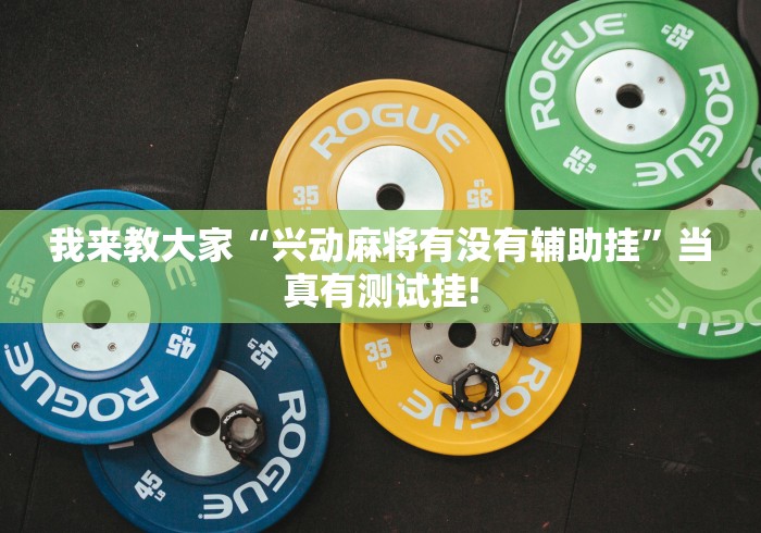 我来教大家“兴动麻将有没有辅助挂”当真有测试挂! 我来教大家“兴动麻将有没有辅助挂”当真有测试挂!