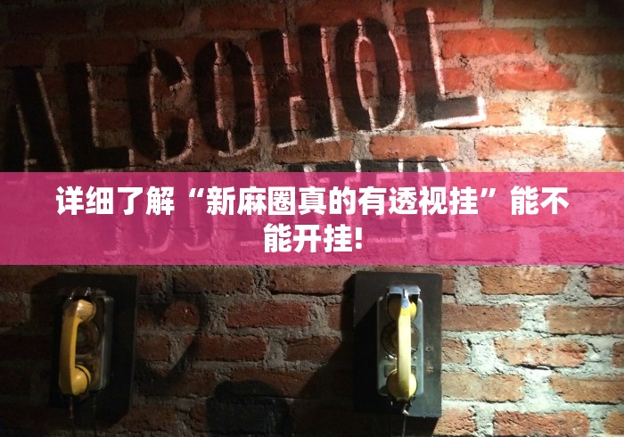 详细了解“新麻圈真的有透视挂”能不能开挂!