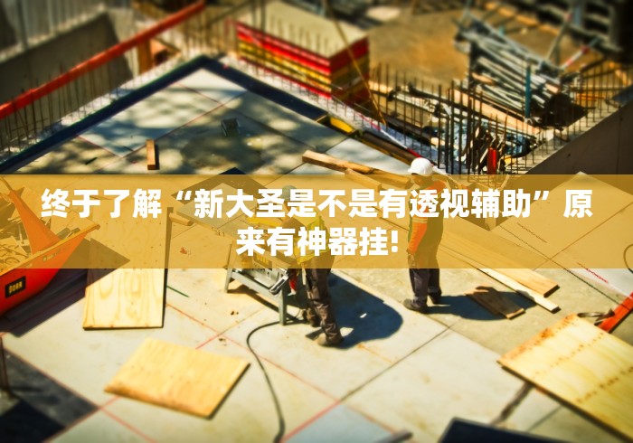 终于了解“新大圣是不是有透视辅助”原来有神器挂! 终于了解“新大圣是不是有透视辅助”原来有神器挂!