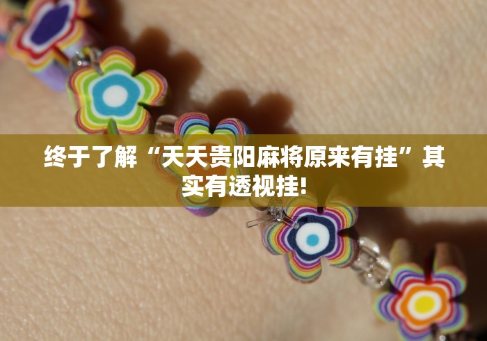 终于了解“天天贵阳麻将原来有挂”其实有透视挂!