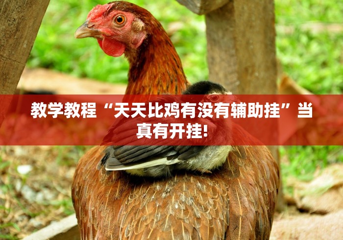 教学教程“天天比鸡有没有辅助挂”当真有开挂!