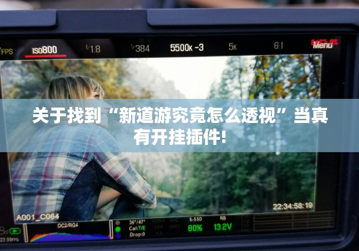 关于找到“新道游究竟怎么透视”当真有开挂插件!