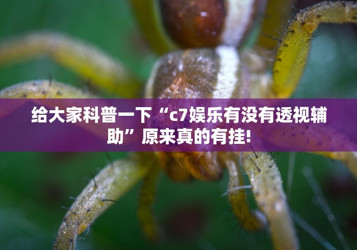 给大家科普一下“c7娱乐有没有透视辅助”原来真的有挂! 给大家科普一下“c7娱乐有没有透视辅助”原来真的有挂!