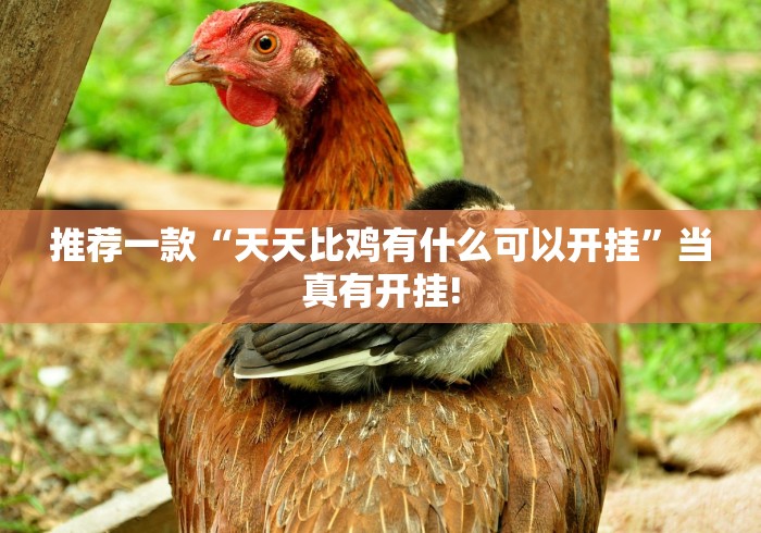 推荐一款“天天比鸡有什么可以开挂”当真有开挂! 推荐一款“天天比鸡有什么可以开挂”当真有开挂!