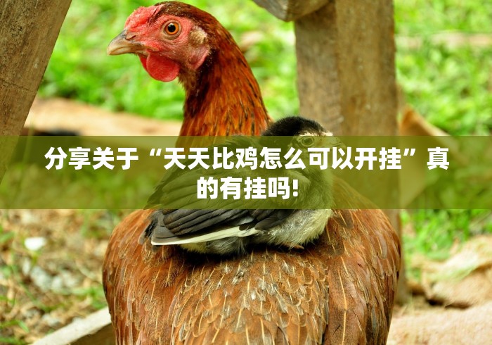 分享关于“天天比鸡怎么可以开挂”真的有挂吗!