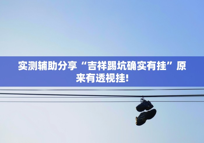 实测辅助分享“吉祥踢坑确实有挂”原来有透视挂!