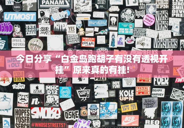 今日分享“白金岛跑胡子有没有透视开挂”原来真的有挂!