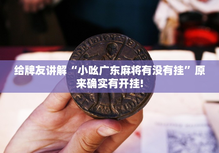 给牌友讲解“小吆广东麻将有没有挂”原来确实有开挂!