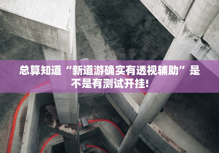 总算知道“新道游确实有透视辅助”是不是有测试开挂!