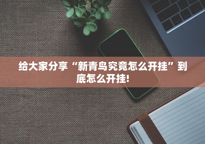 给大家分享“新青鸟究竟怎么开挂”到底怎么开挂!