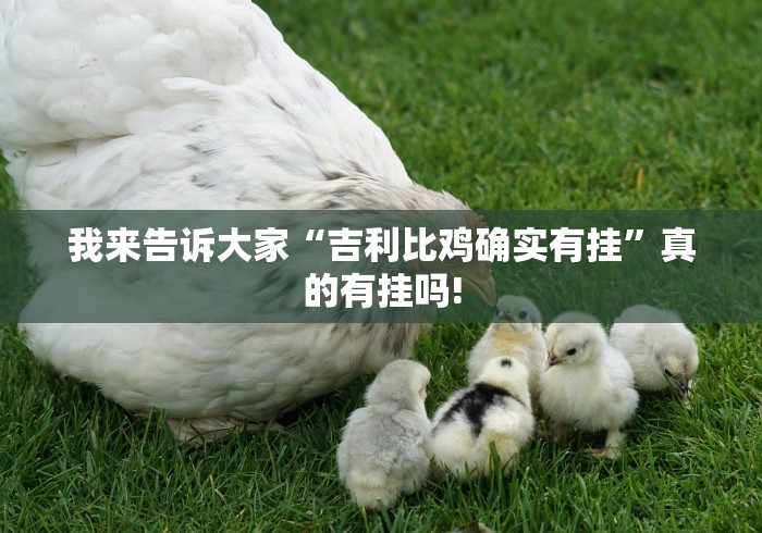 我来告诉大家“吉利比鸡确实有挂”真的有挂吗!