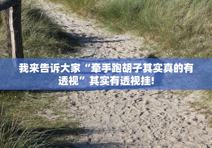 我来告诉大家“牵手跑胡子其实真的有透视”其实有透视挂!