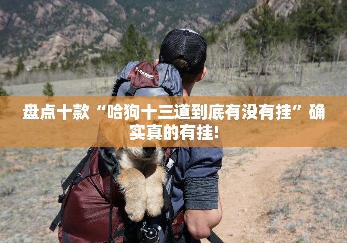 盘点十款“哈狗十三道到底有没有挂”确实真的有挂!