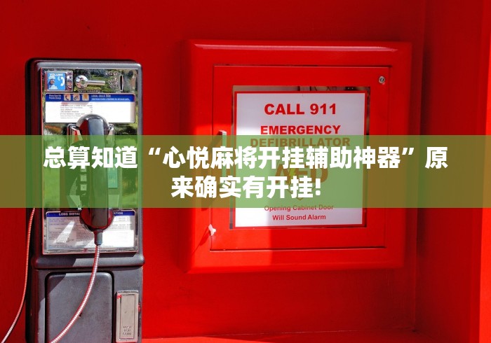 总算知道“心悦麻将开挂辅助神器”原来确实有开挂!