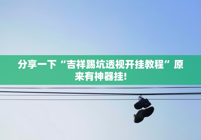 分享一下“吉祥踢坑透视开挂教程”原来有神器挂!