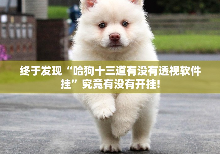 终于发现“哈狗十三道有没有透视软件挂”究竟有没有开挂!