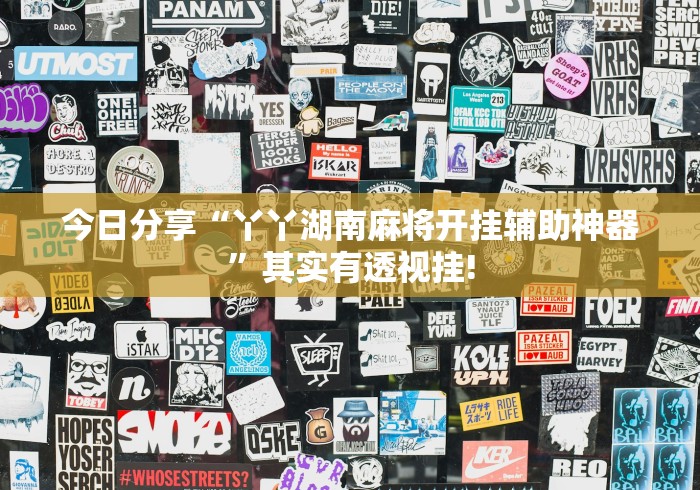 今日分享“丫丫湖南麻将开挂辅助神器”其实有透视挂!