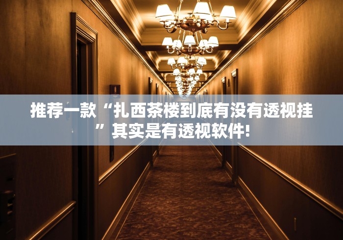 推荐一款“扎西茶楼到底有没有透视挂”其实是有透视软件!