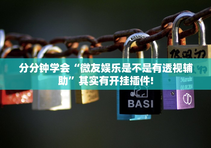 分分钟学会“微友娱乐是不是有透视辅助”其实有开挂插件!