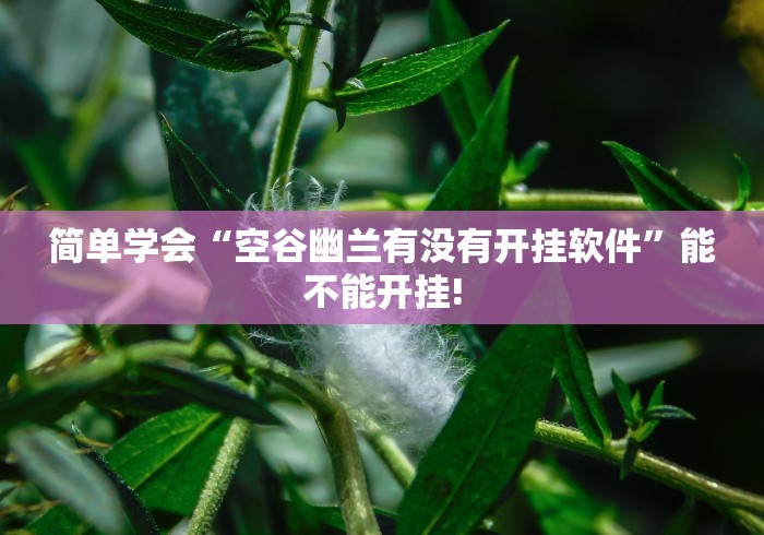 简单学会“空谷幽兰有没有开挂软件”能不能开挂!