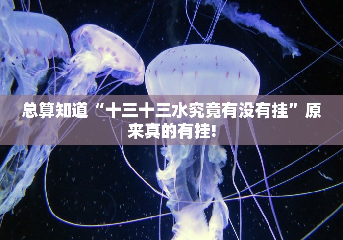 总算知道“十三十三水究竟有没有挂”原来真的有挂!