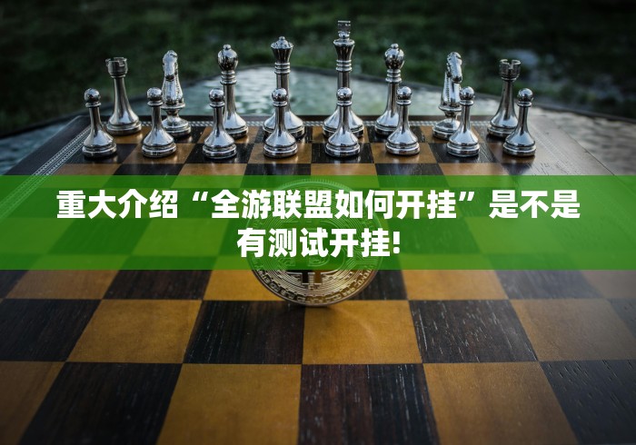重大介绍“全游联盟如何开挂”是不是有测试开挂!