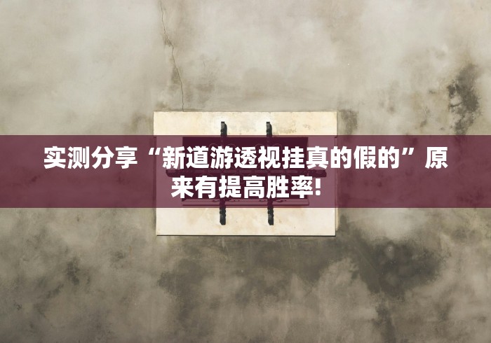 实测分享“新道游透视挂真的假的”原来有提高胜率!
