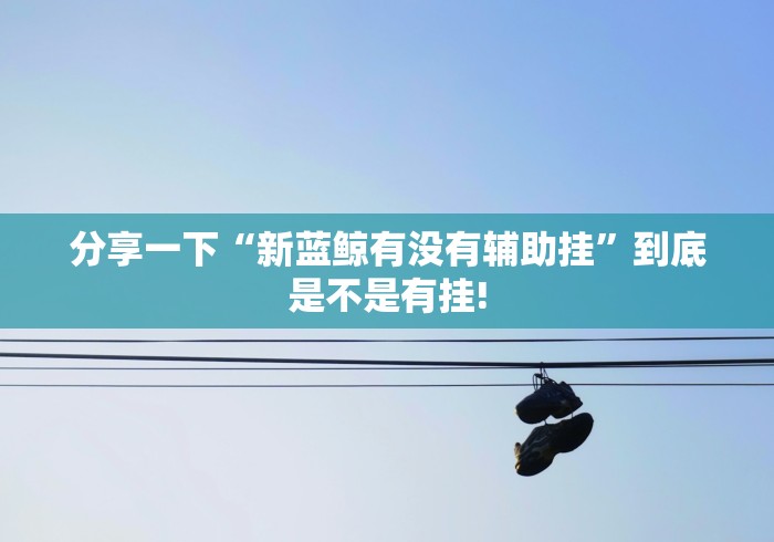 分享一下“新蓝鲸有没有辅助挂”到底是不是有挂!