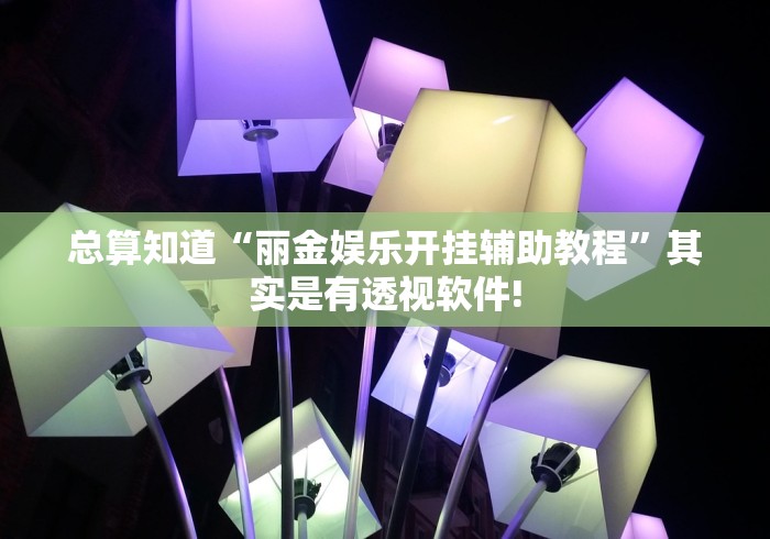 总算知道“丽金娱乐开挂辅助教程”其实是有透视软件!