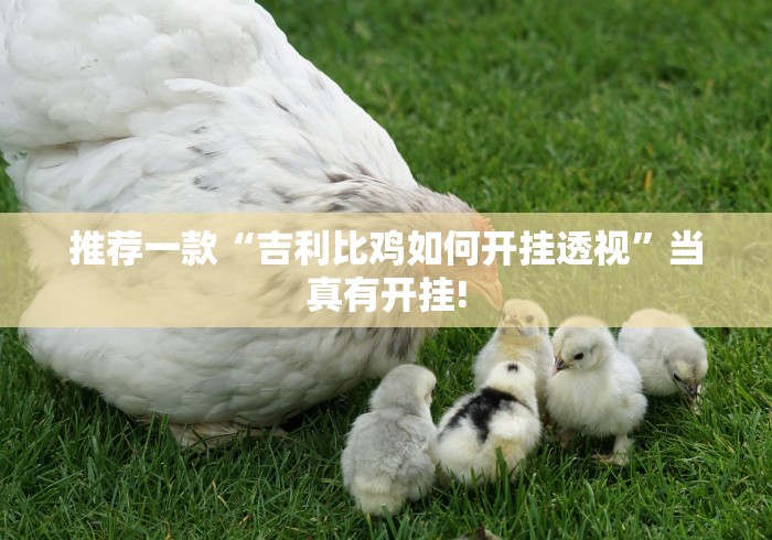 推荐一款“吉利比鸡如何开挂透视”当真有开挂!