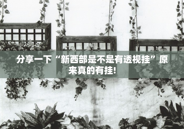 分享一下“新西部是不是有透视挂”原来真的有挂!