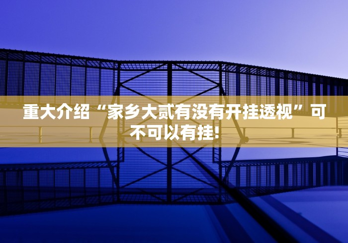 重大介绍“家乡大贰有没有开挂透视”可不可以有挂!