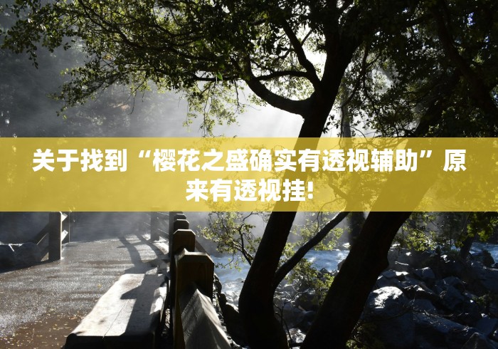 关于找到“樱花之盛确实有透视辅助”原来有透视挂!