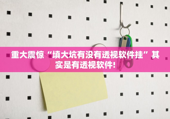 重大震惊“填大坑有没有透视软件挂”其实是有透视软件!