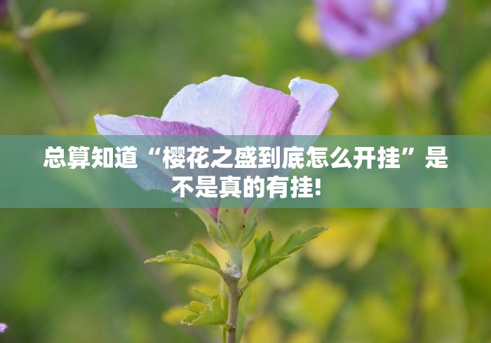 总算知道“樱花之盛到底怎么开挂”是不是真的有挂!